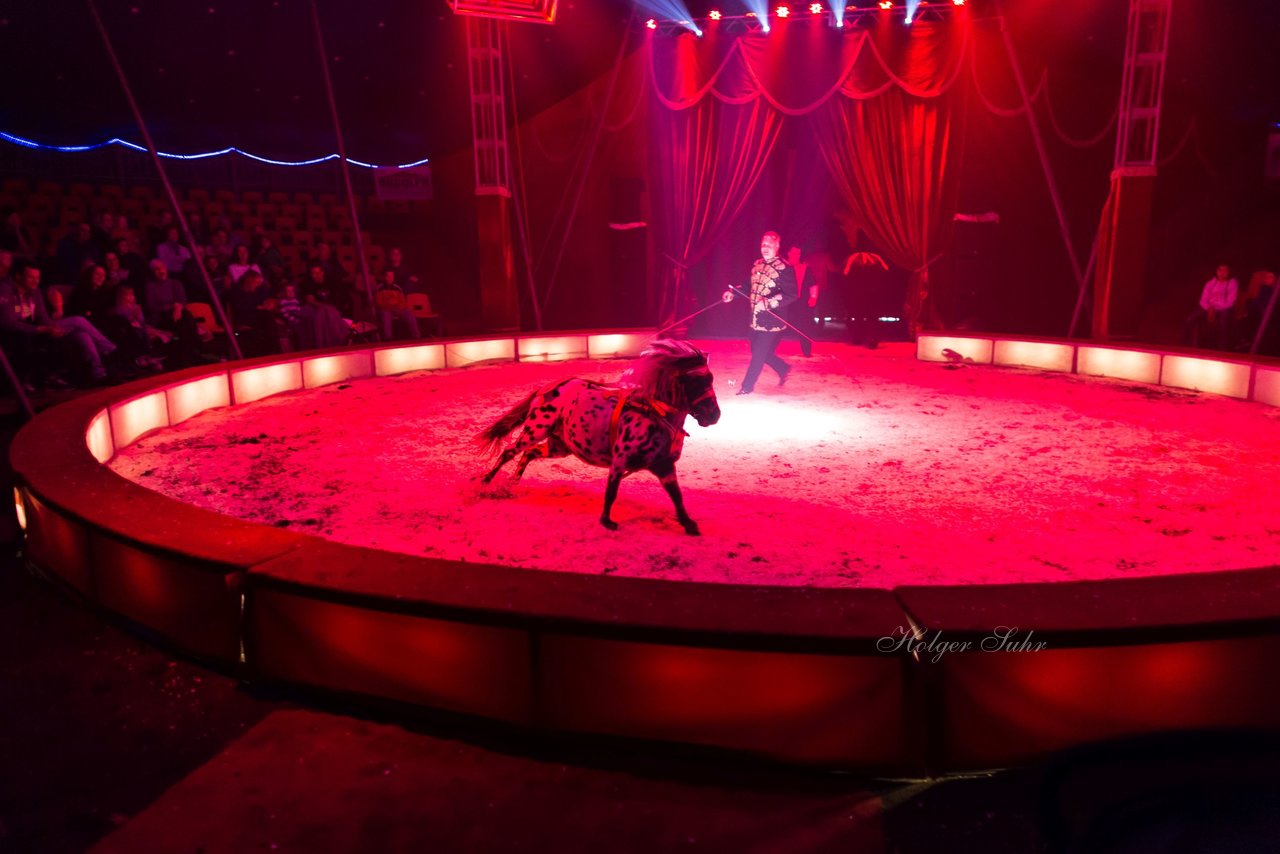 Bild 93 - Circus Europa